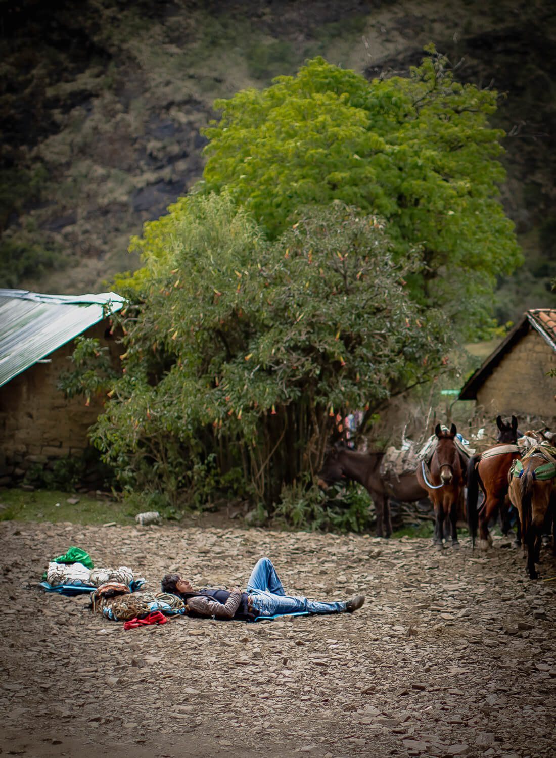 A man taking a siesta on the Salkantay Trail by Humantay Lake
