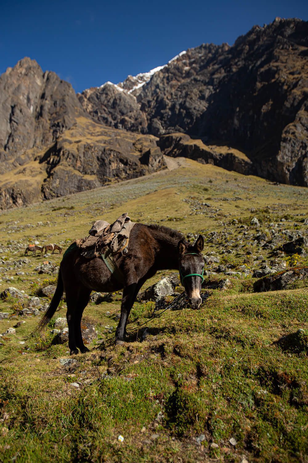 Salkantay Trail tips 