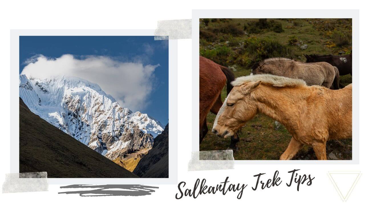 Salkantay Trail Tips Salkantay Trail Tips & Tricks with I'm Jess Traveling