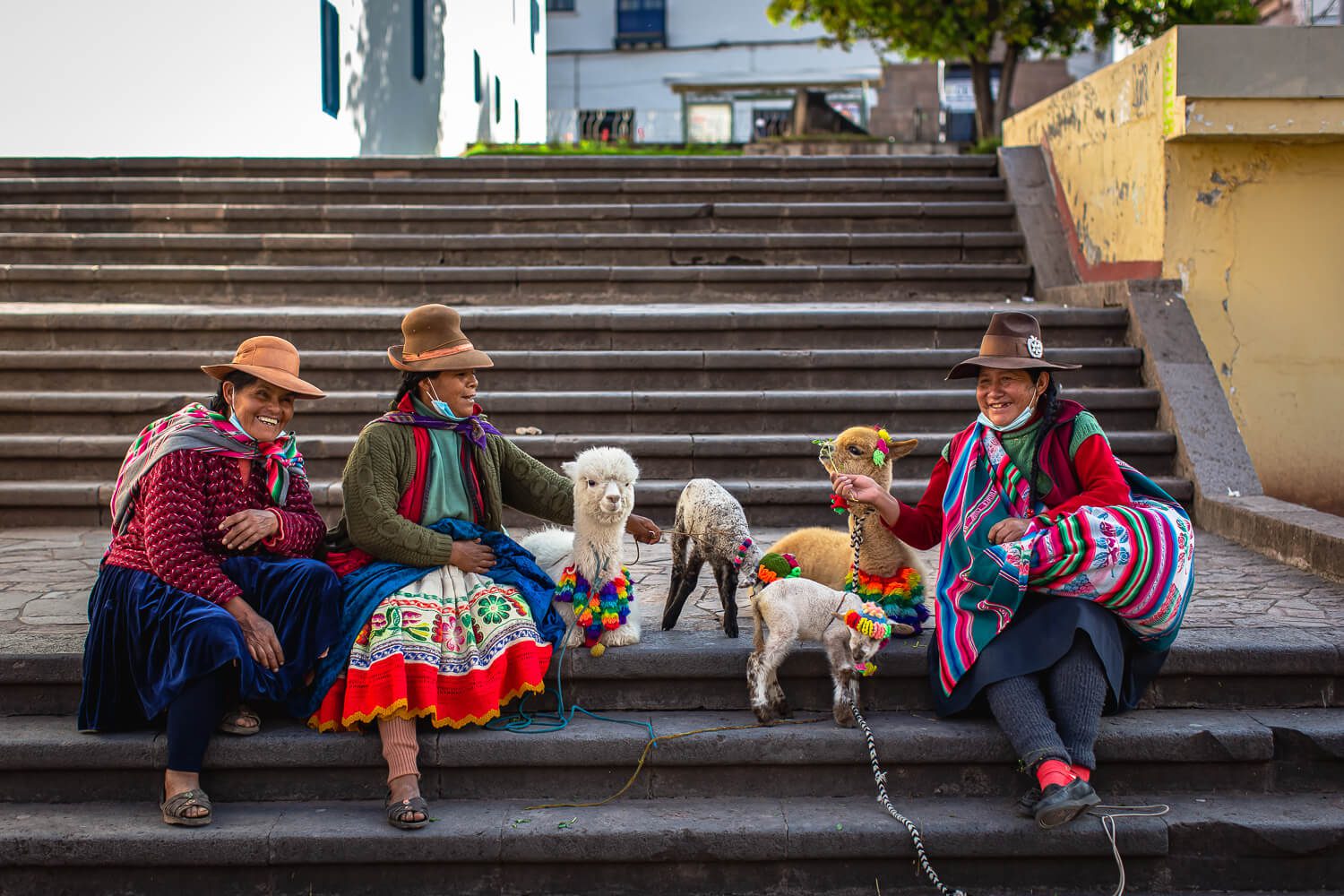 Alpacas and Quechuan women on the streets while traveling Cusco, Peru