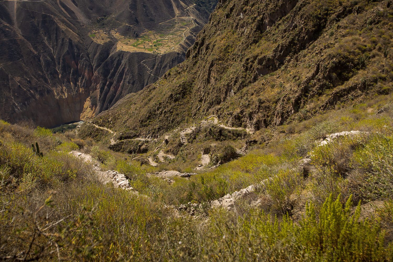 colca canyon oasis