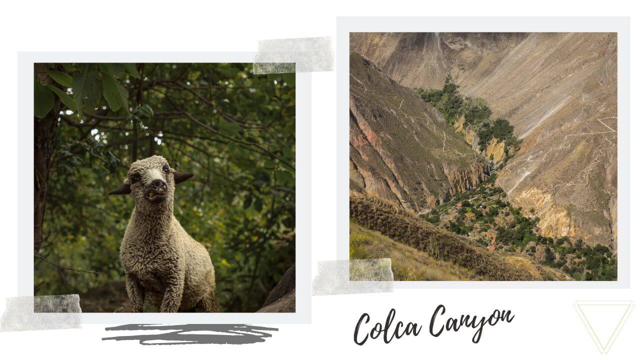 Hiking Colca Canyon without a guide