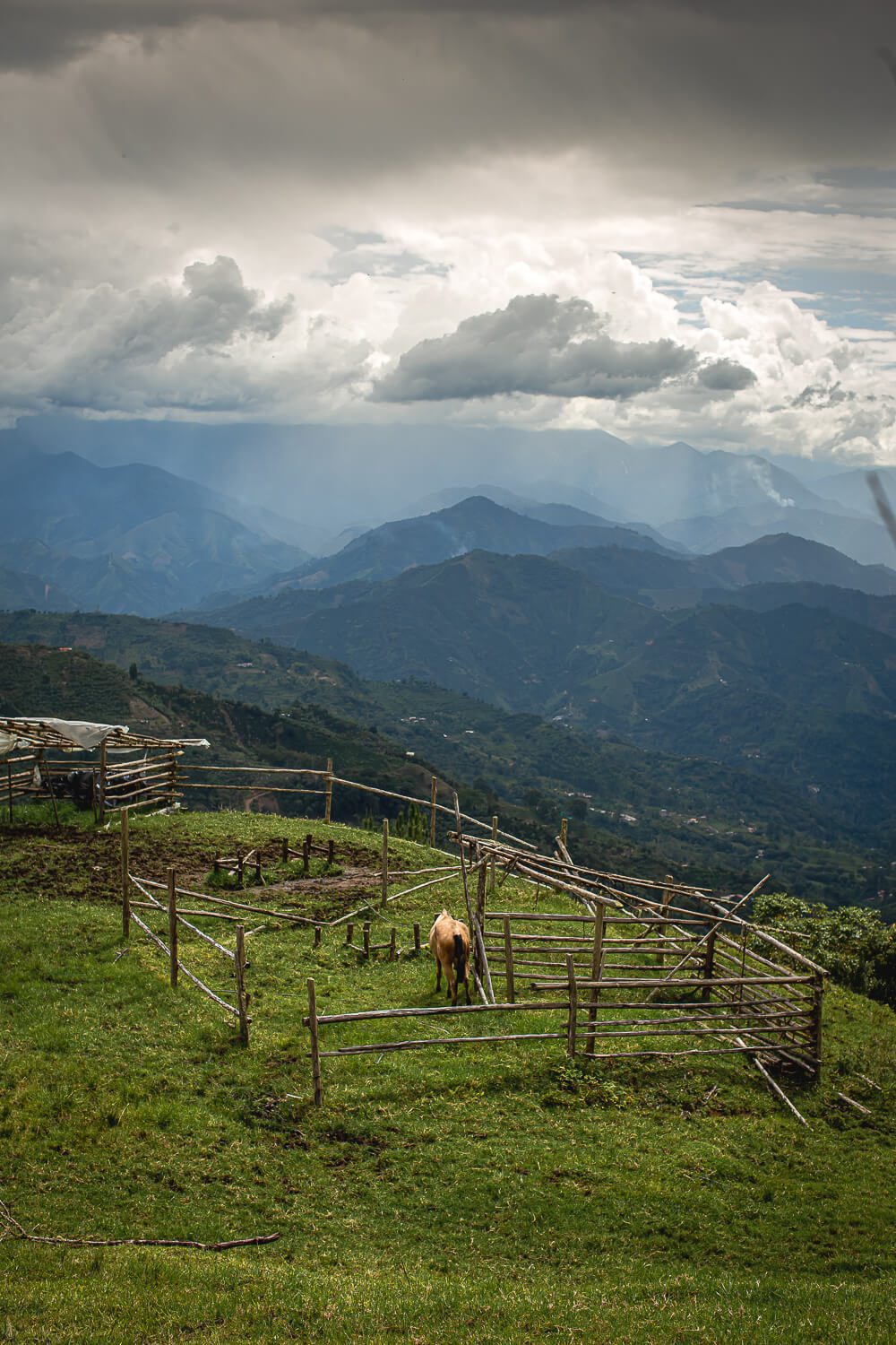 Views in Colombia Views in the coffee triangle in Colombia