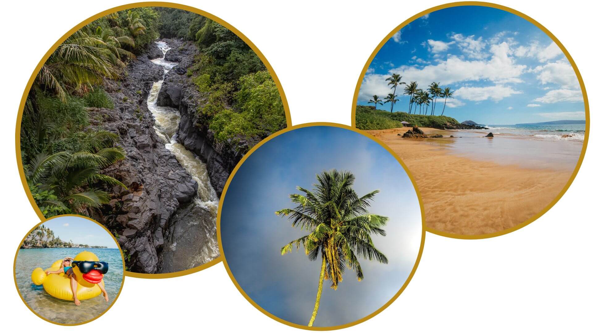 Maui Travel Guide Maui Travel Guide