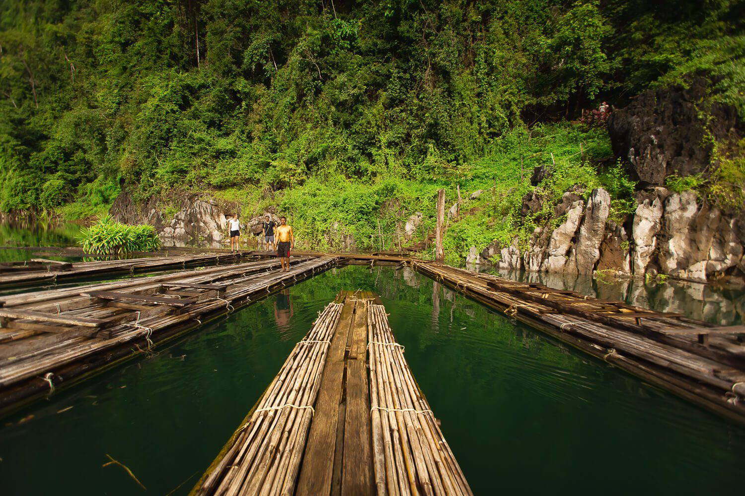 Bamboo raft in Khao Sok National Park
