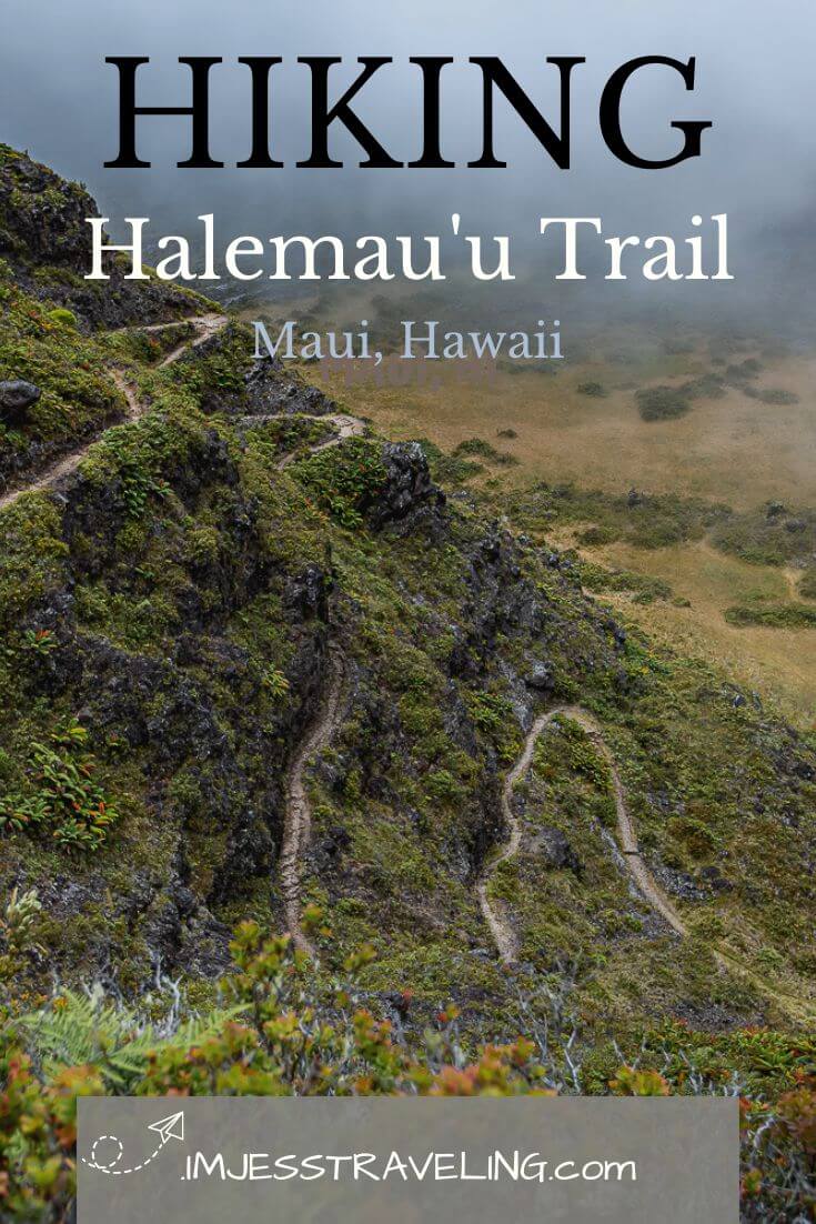 Halemauu Trail Maui | Haleakala National Park