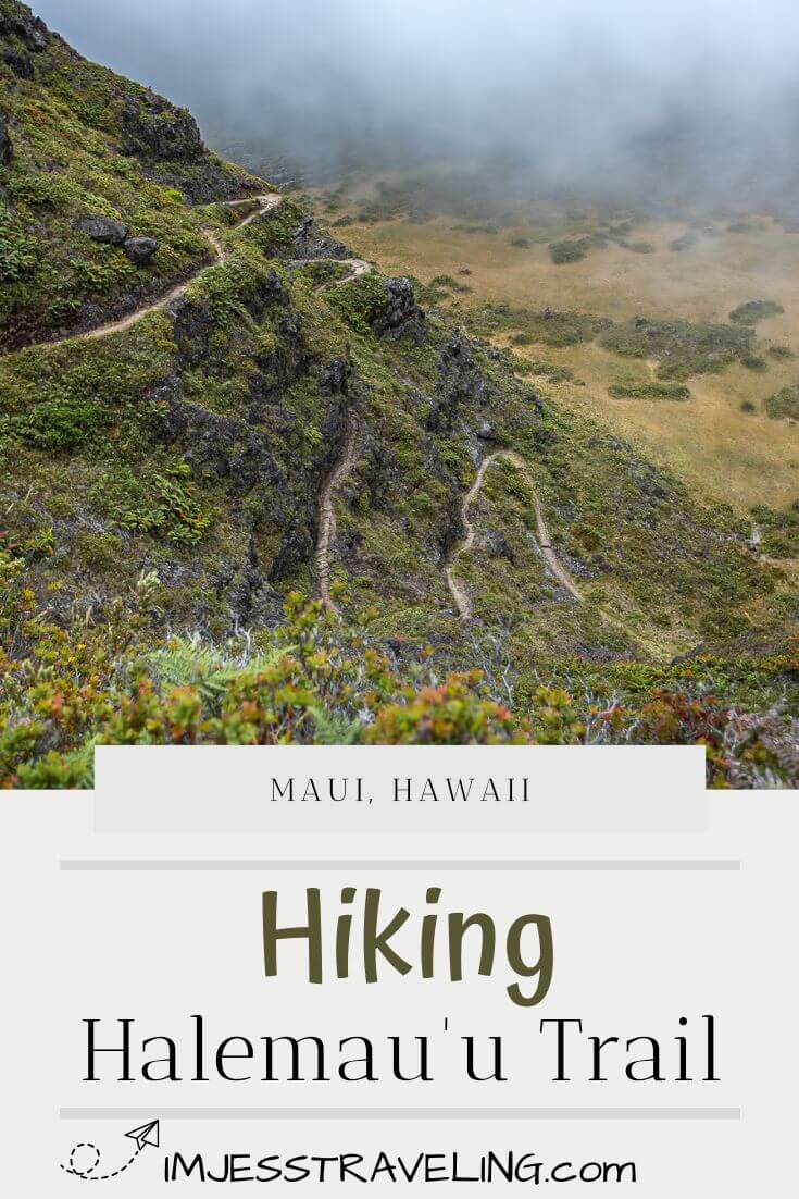 Halemauu Trail Maui | Haleakala National Park
