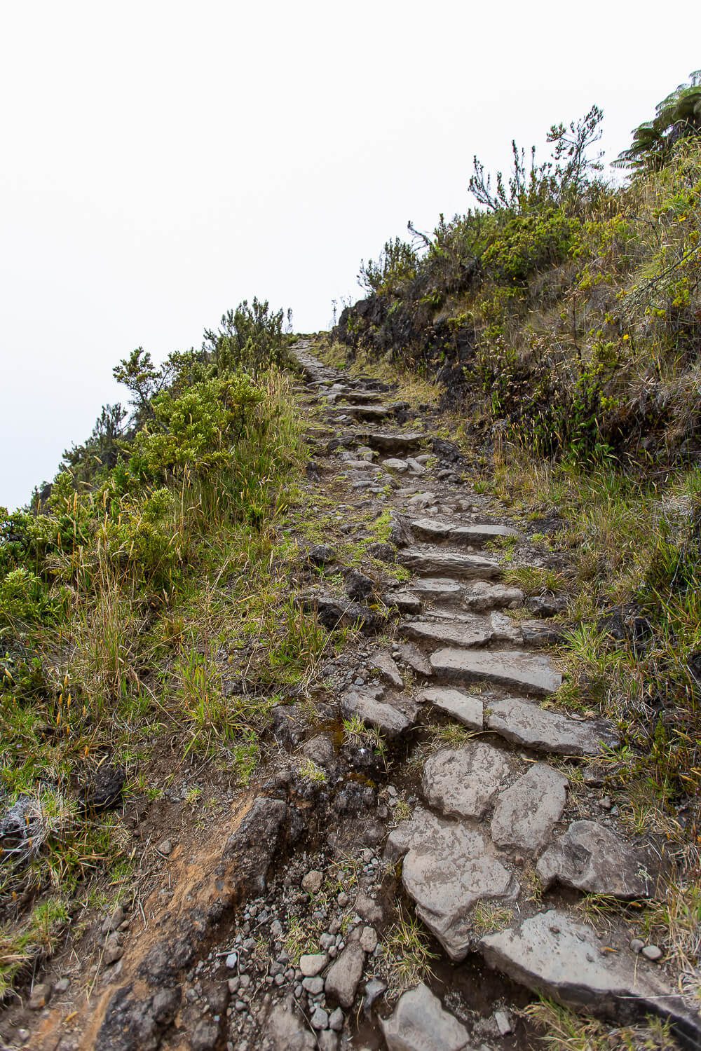 Halemauu Trail Halemauu Trail