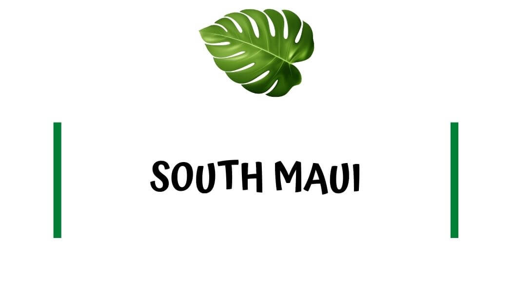 South Maui Places to STay Where to stay in South Maui