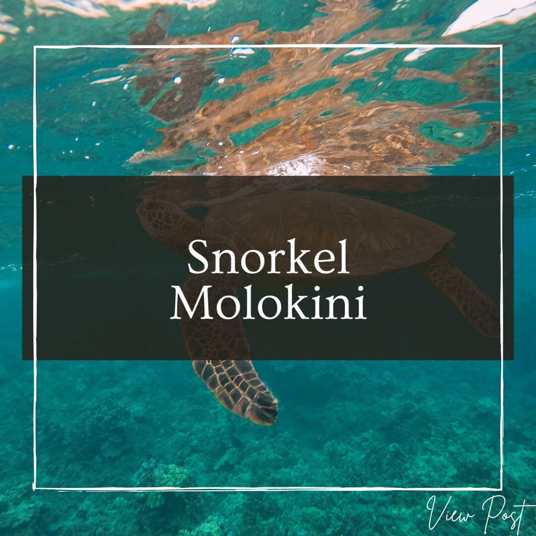 Snorkeling Molokini in South Maui