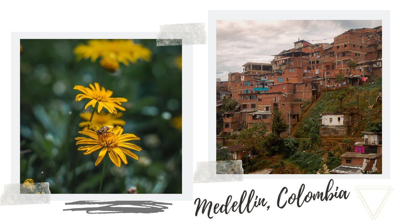 You Can't Miss Medellin's Flower Festival! - True Colombia Travel