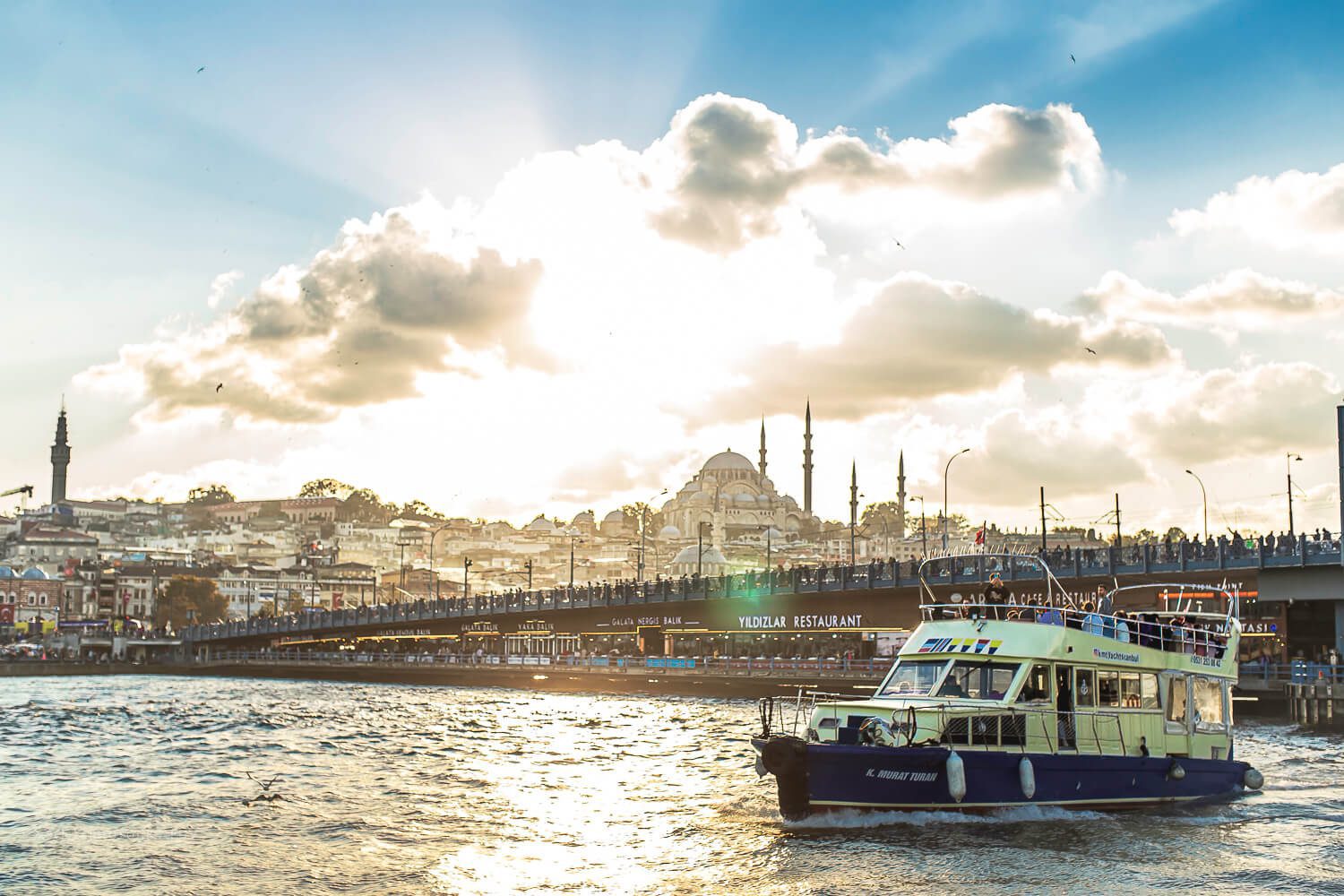 Bosphorus Dinner Cruise in Istanbul