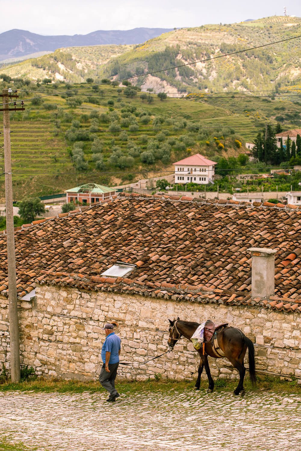 Man and a Horse in the Berat Castle Man and a Horse in the Berat Castle