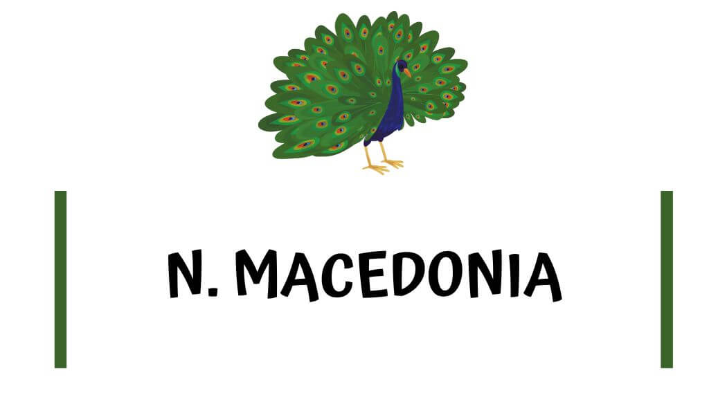 North Macedonia Travel Guides<br>
