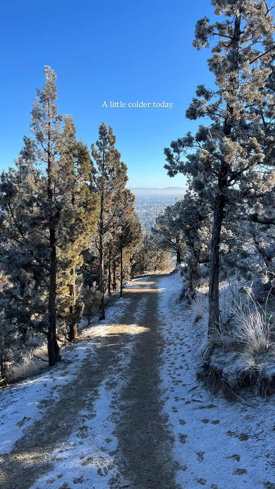 Pilot Butte State Scenic Viewpoint | Hike or Drive to the Summit - Im ...