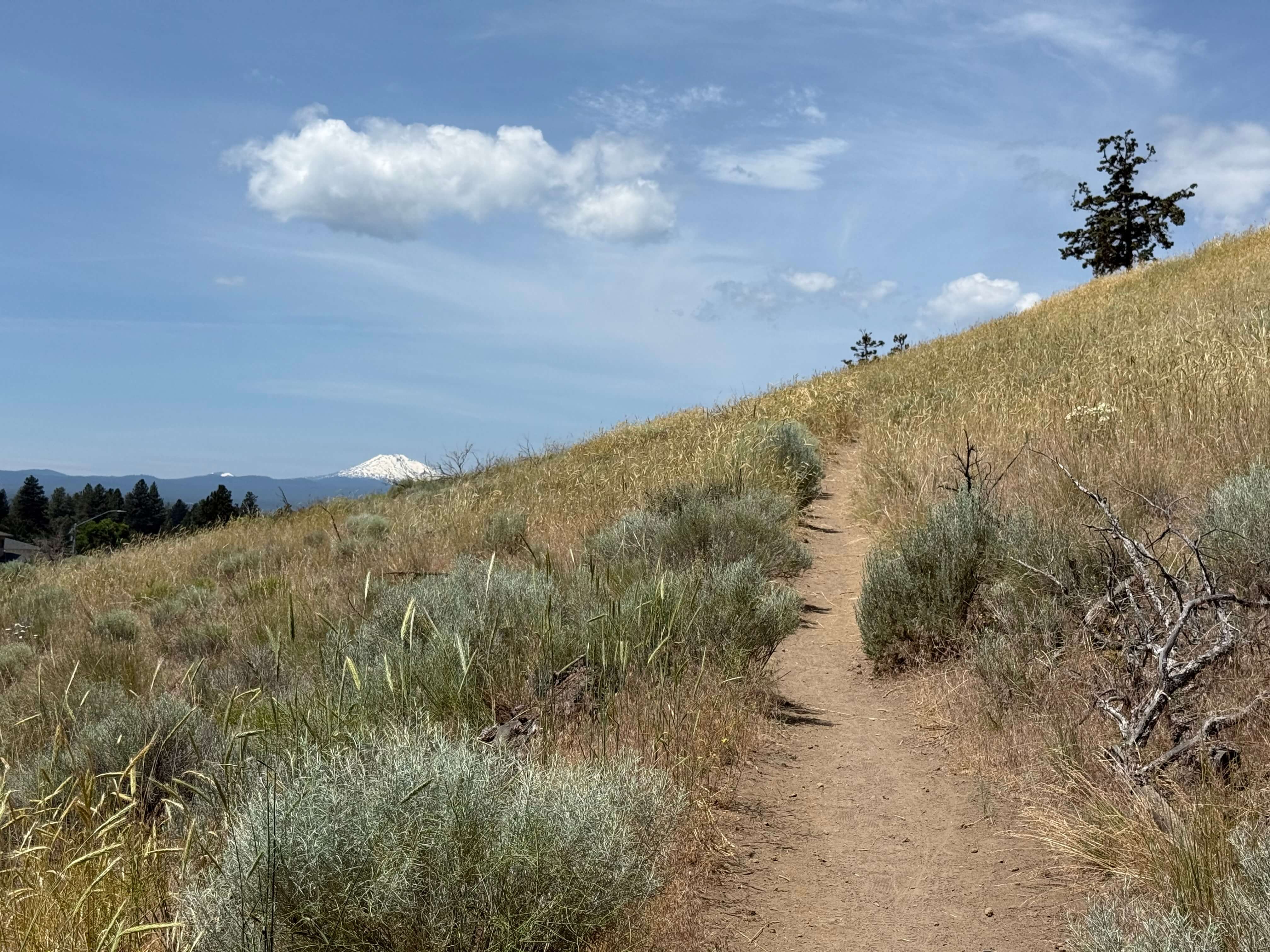 Pilot Butte State Scenic Viewpoint | Hike or Drive to the Summit - Im ...
