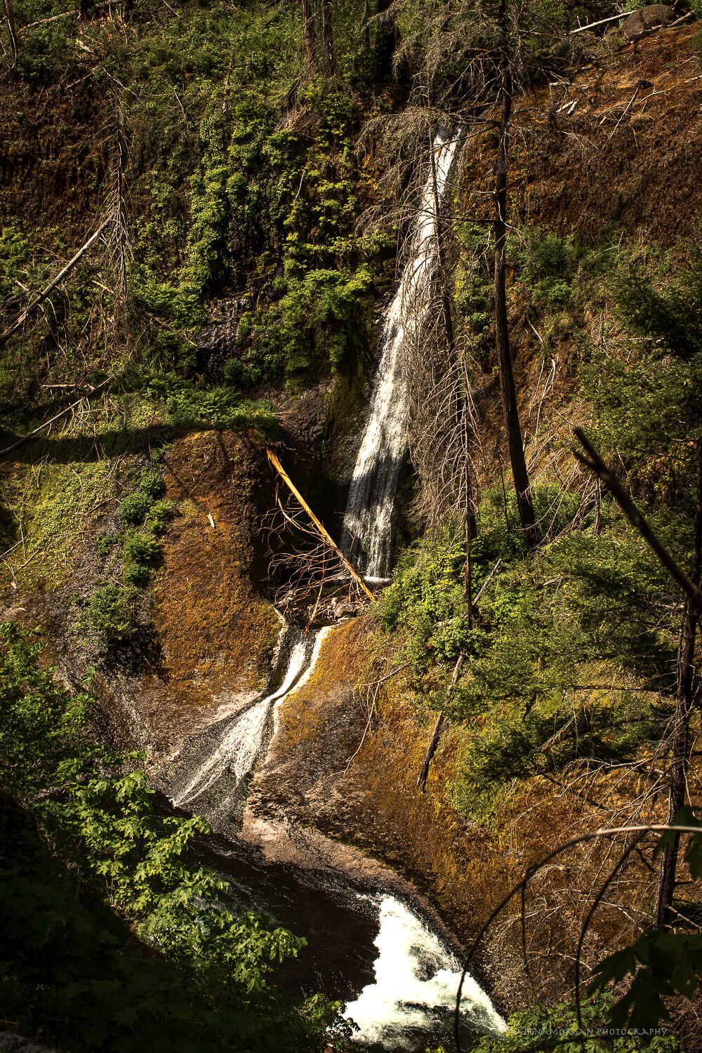 Tunnel Falls Hike via Eagle Creek Trail #440 | Best Oregon Waterfall ...