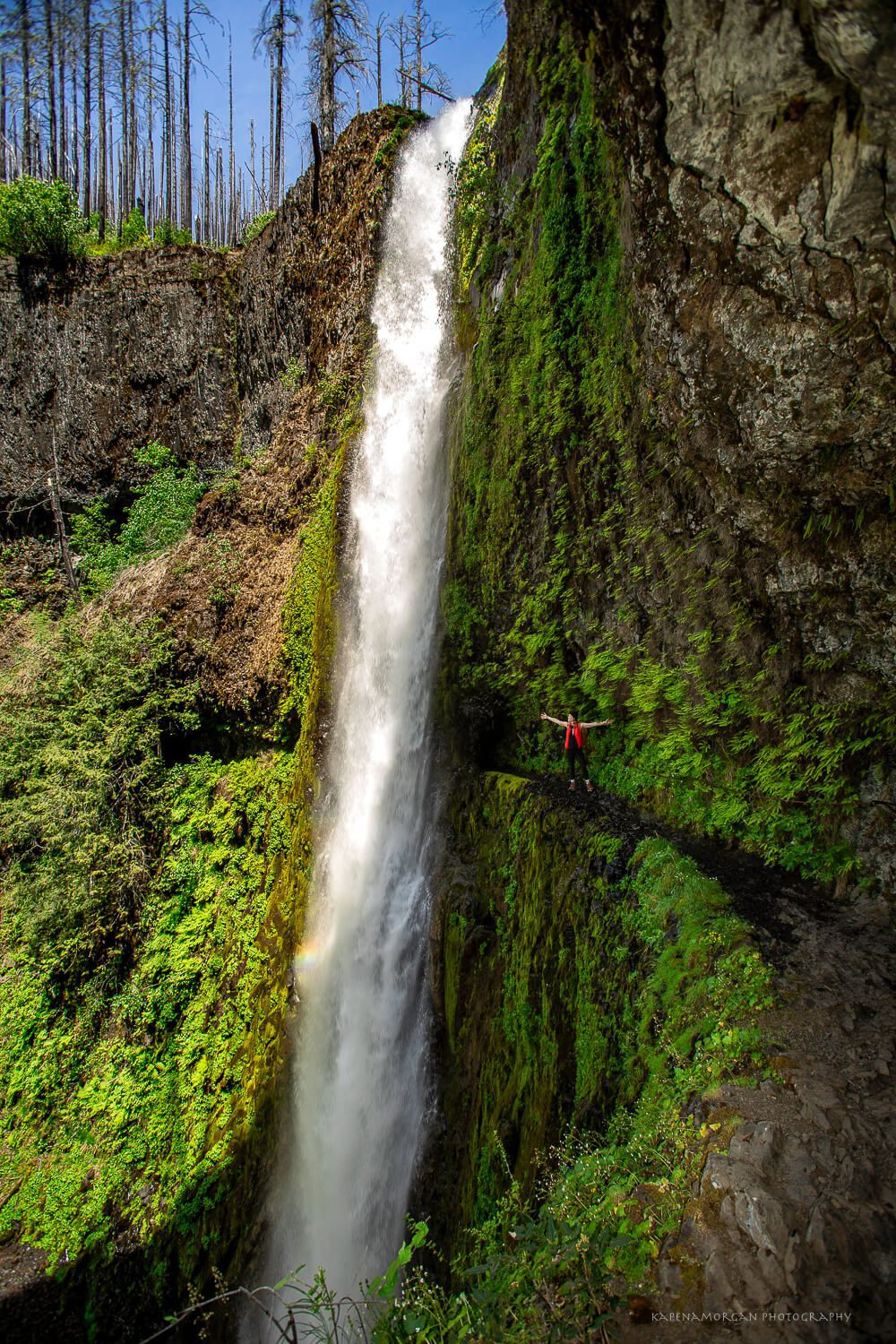 Tunal Fall Tunnel Falls Hike via Eagle Creek Trail #440 | Best Oregon Waterfall ...